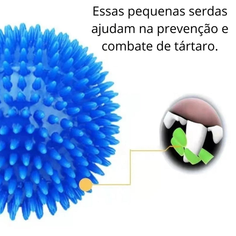 Bolinha elástica resistente com cerdas limpa dente. - Tamanhos e cores diversas.