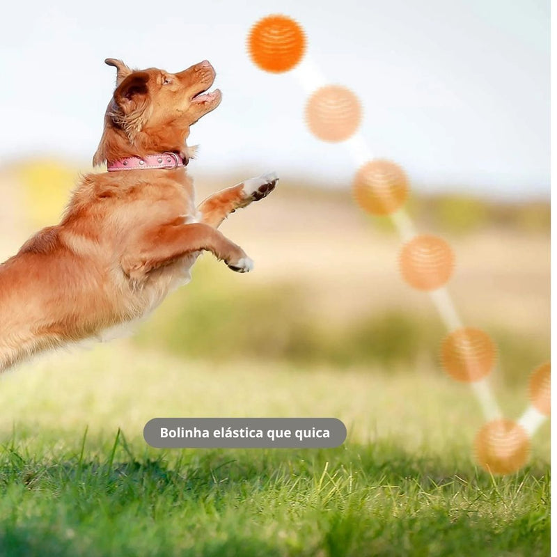 Bolinha elástica resistente com cerdas limpa dente. - Tamanhos e cores diversas.