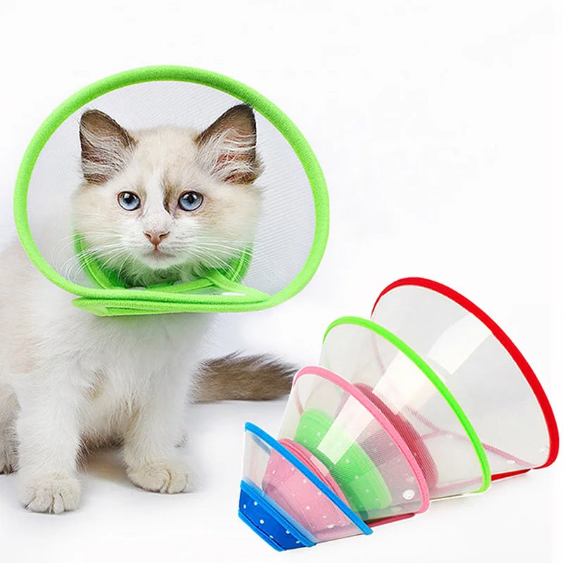 Colar Elizabetano, cone pós operatório para cães pequenos e gatos.