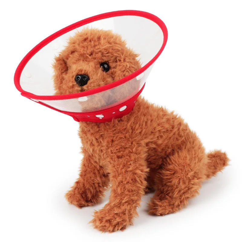 Colar Elizabetano, cone pós operatório para cães pequenos e gatos.